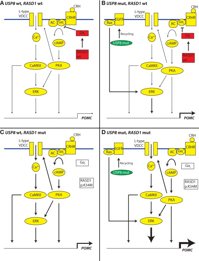 Figure 6.