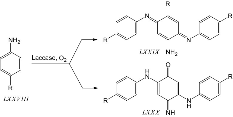 Fig. 12