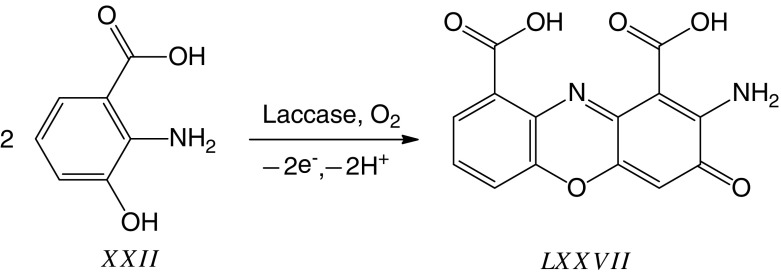 Fig. 11