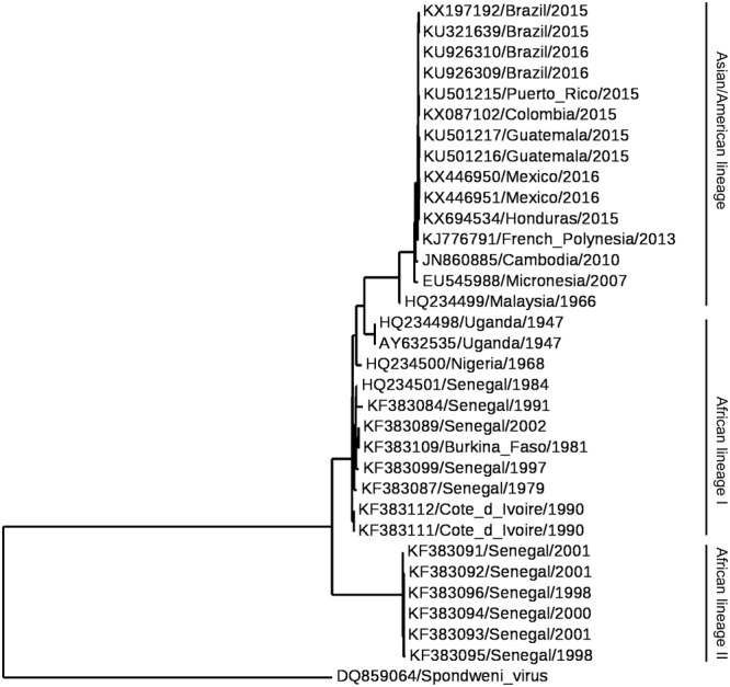 FIGURE 2