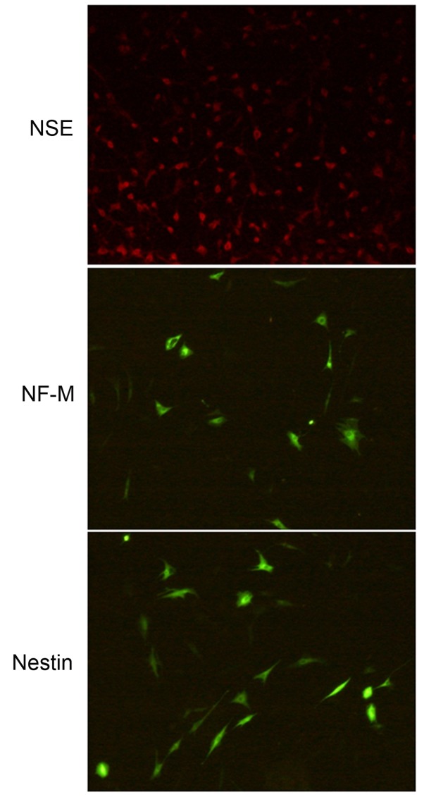 Figure 7.