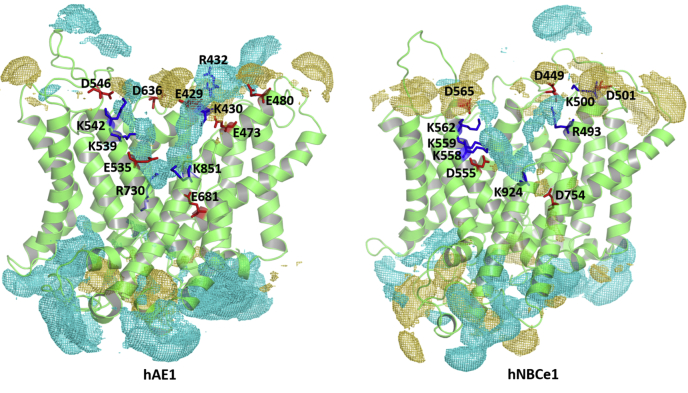 Figure 1