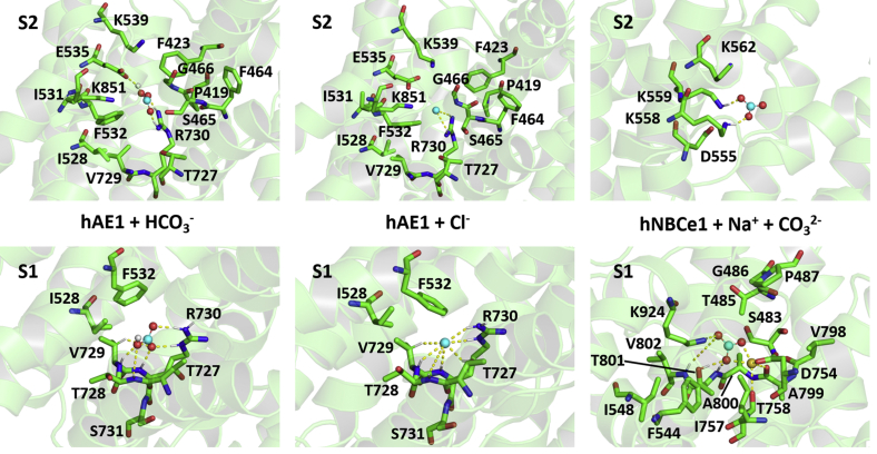 Figure 3