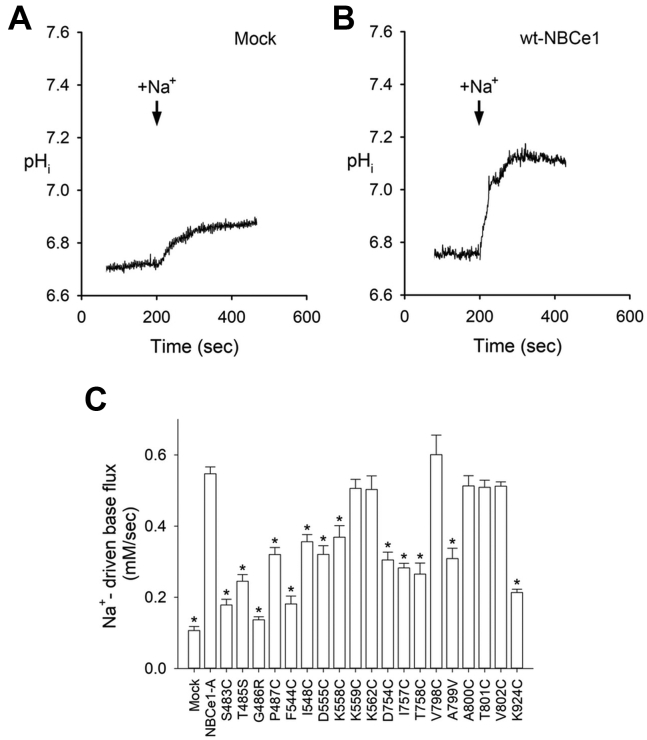 Figure 5