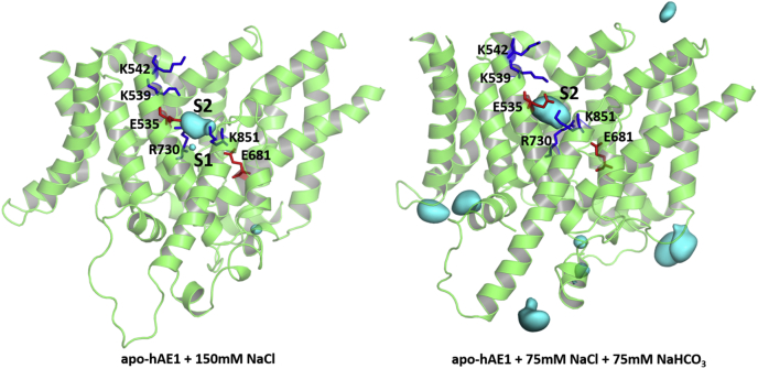 Figure 2