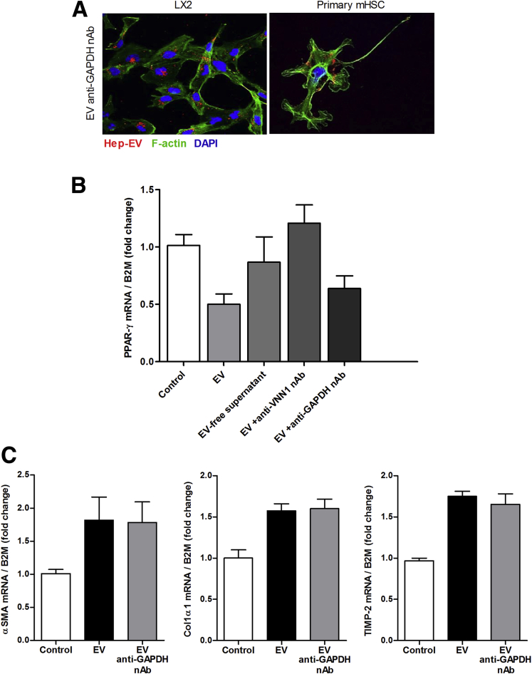 Supplementary Figure 1