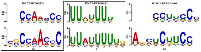 Figure 4.