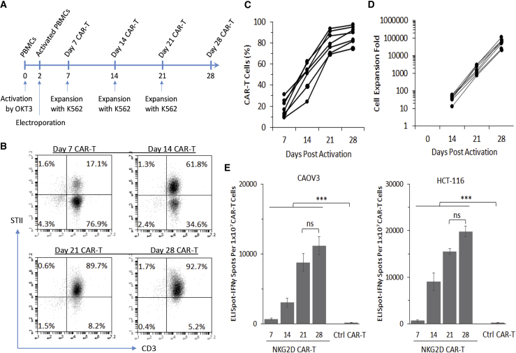 Figure 2