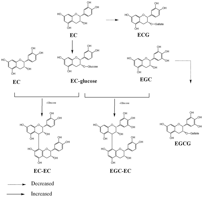 Figure 8