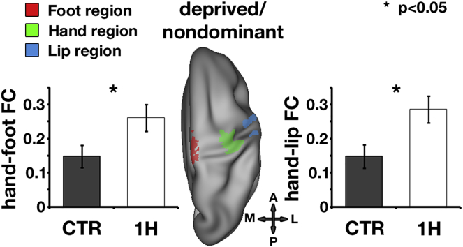 Figure 3