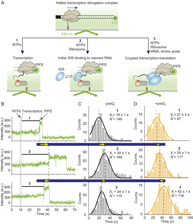 Fig. 4.