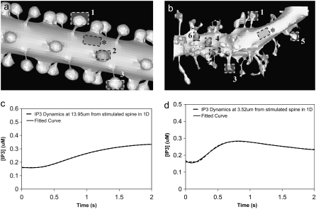 FIGURE 3