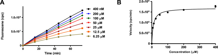 Fig. 4