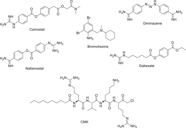 Fig. 2