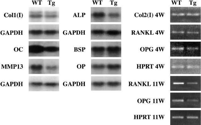 Figure 9.