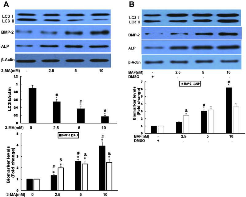 Fig. 2 -