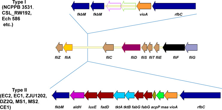 Fig 6