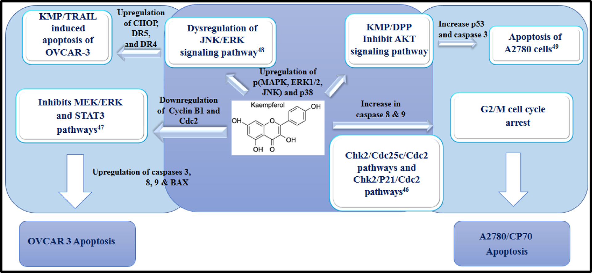 Scheme 3.