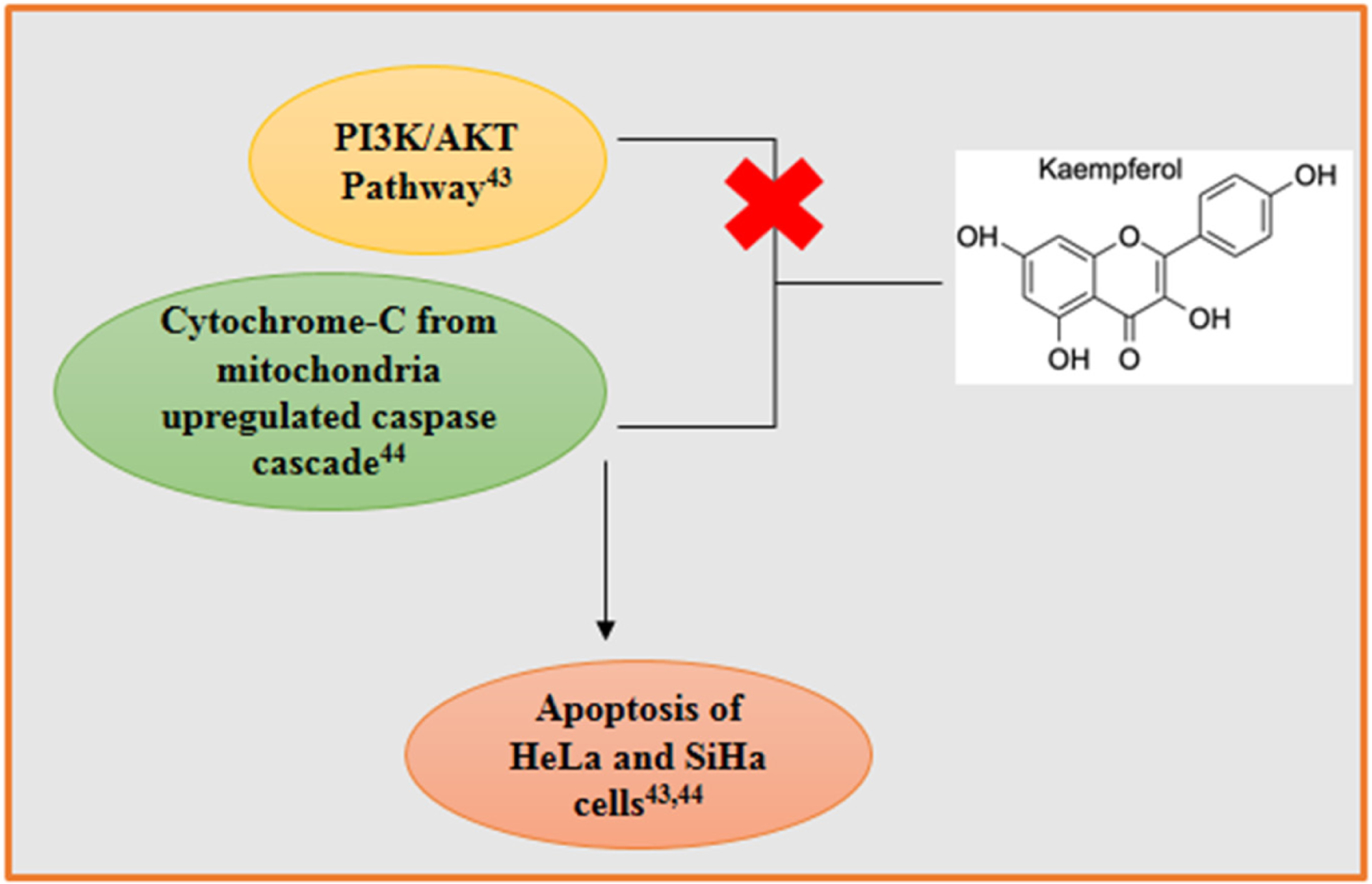 Scheme 2.