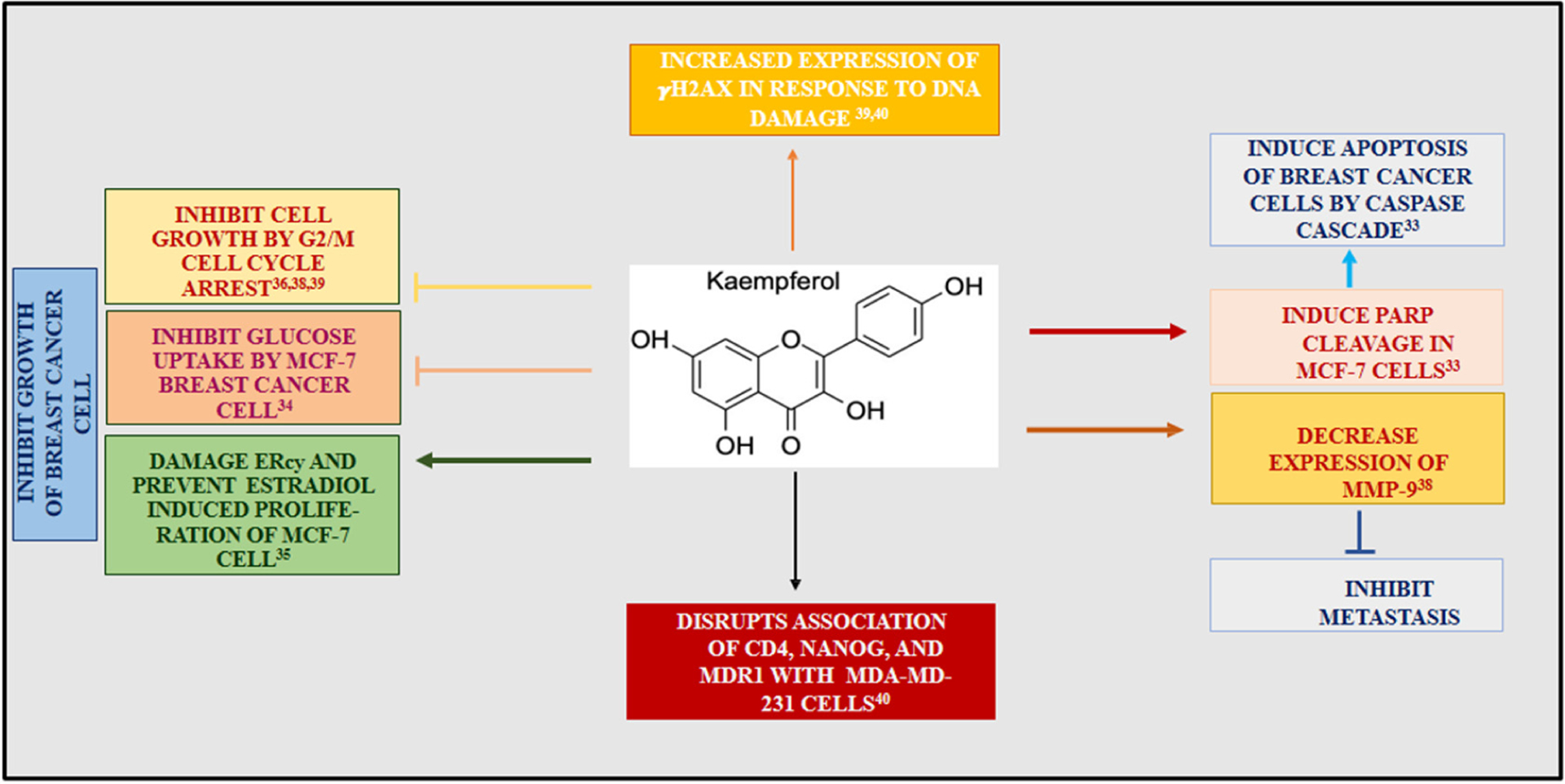 Scheme 1.