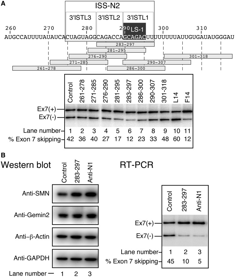 Figure 11.