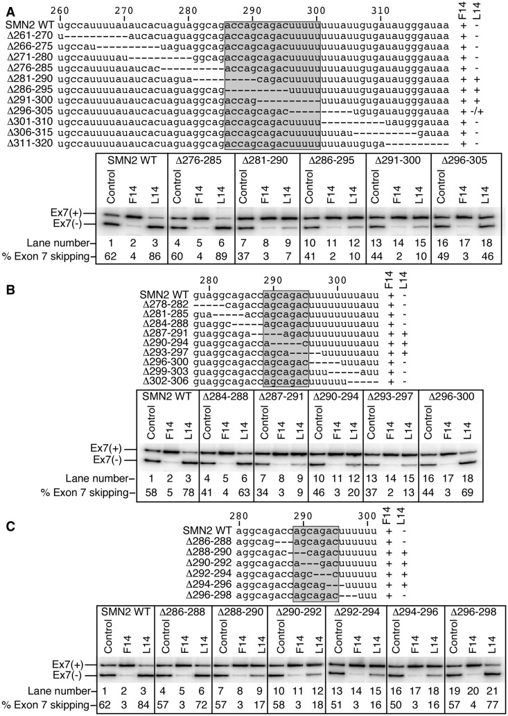 Figure 3.