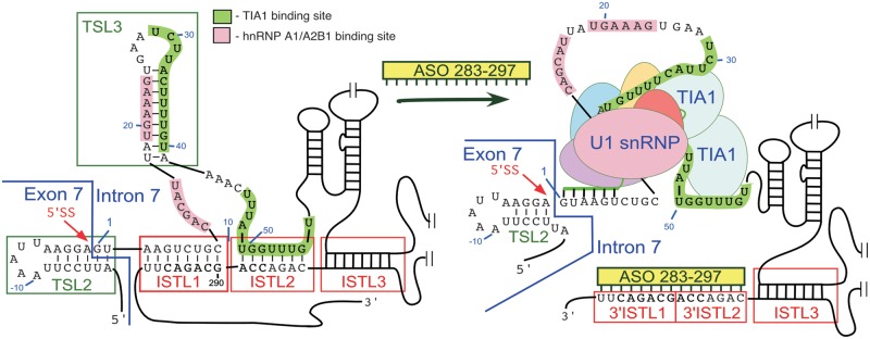 Figure 12.