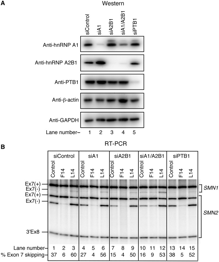 Figure 10.