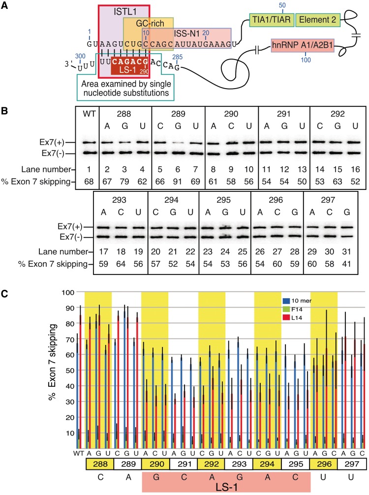 Figure 4.