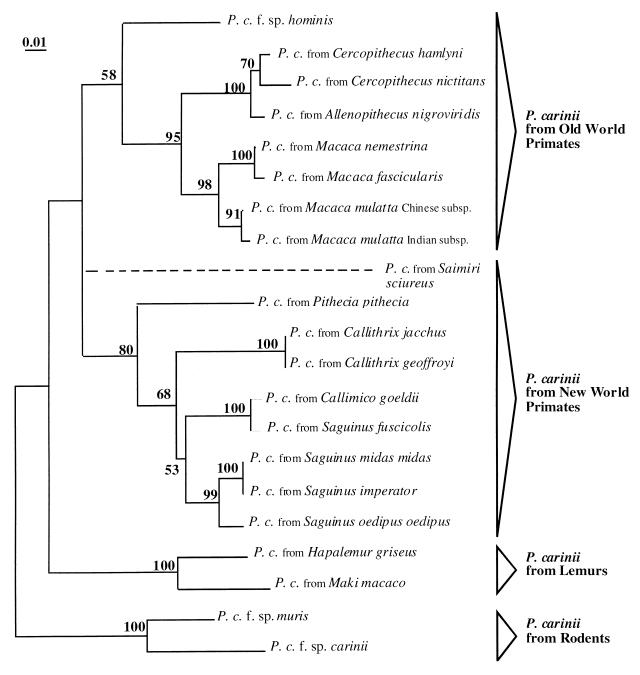 FIG. 1