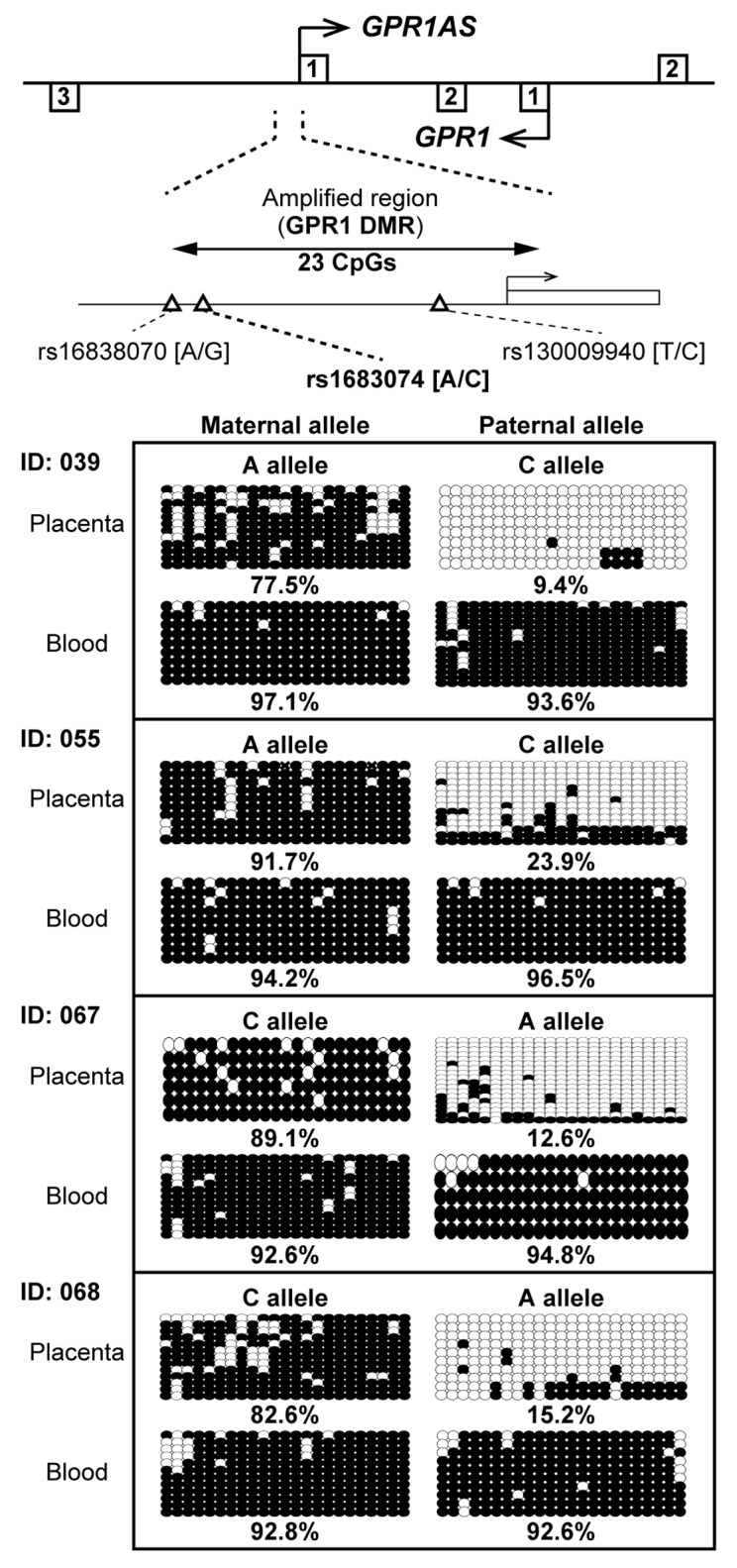 graphic file with name epi-8-635-g4.jpg