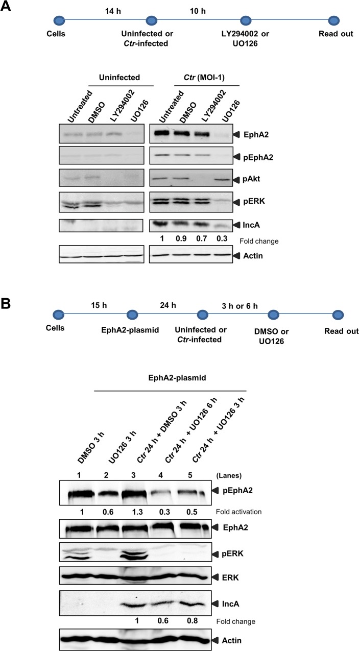 Fig 8