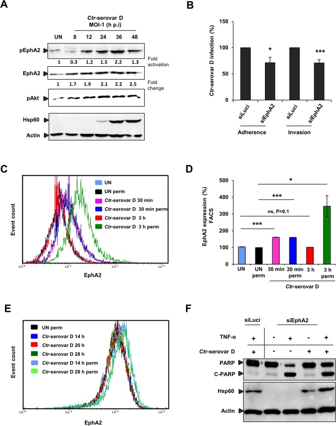 Fig 10