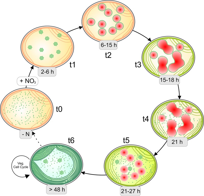 FIG 9