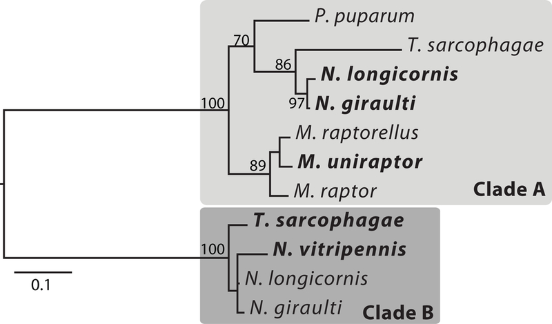 Figure 2.