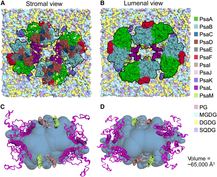 Figure 3