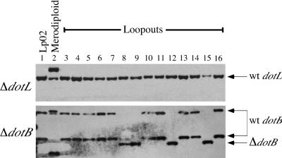 FIG. 3.