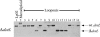 FIG. 5.