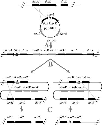 FIG. 2.