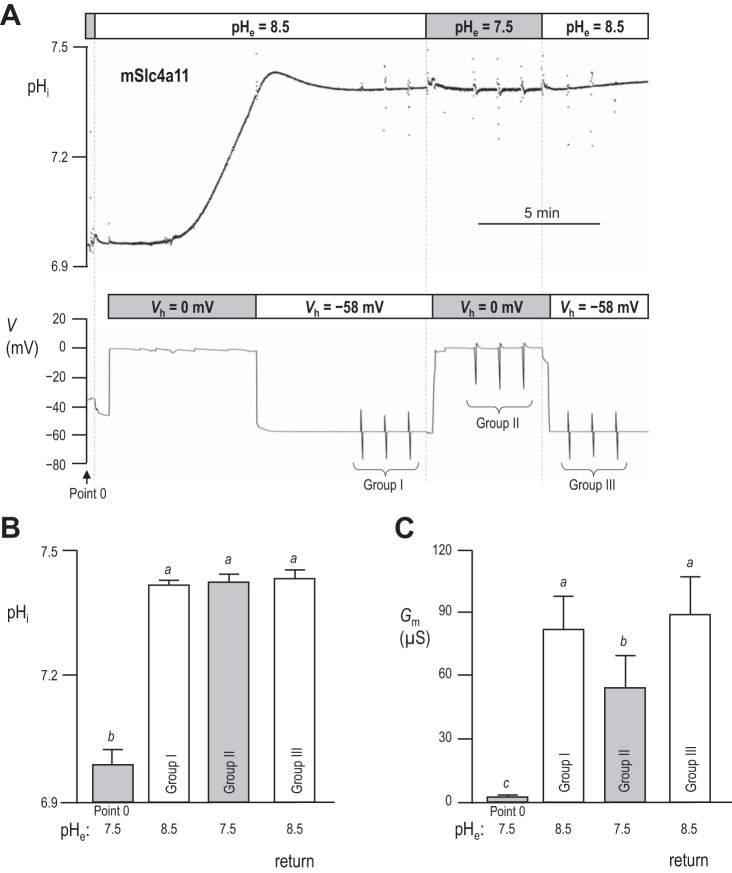 Fig. 5.