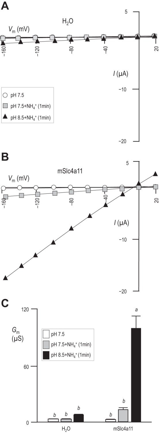 Fig. 8.