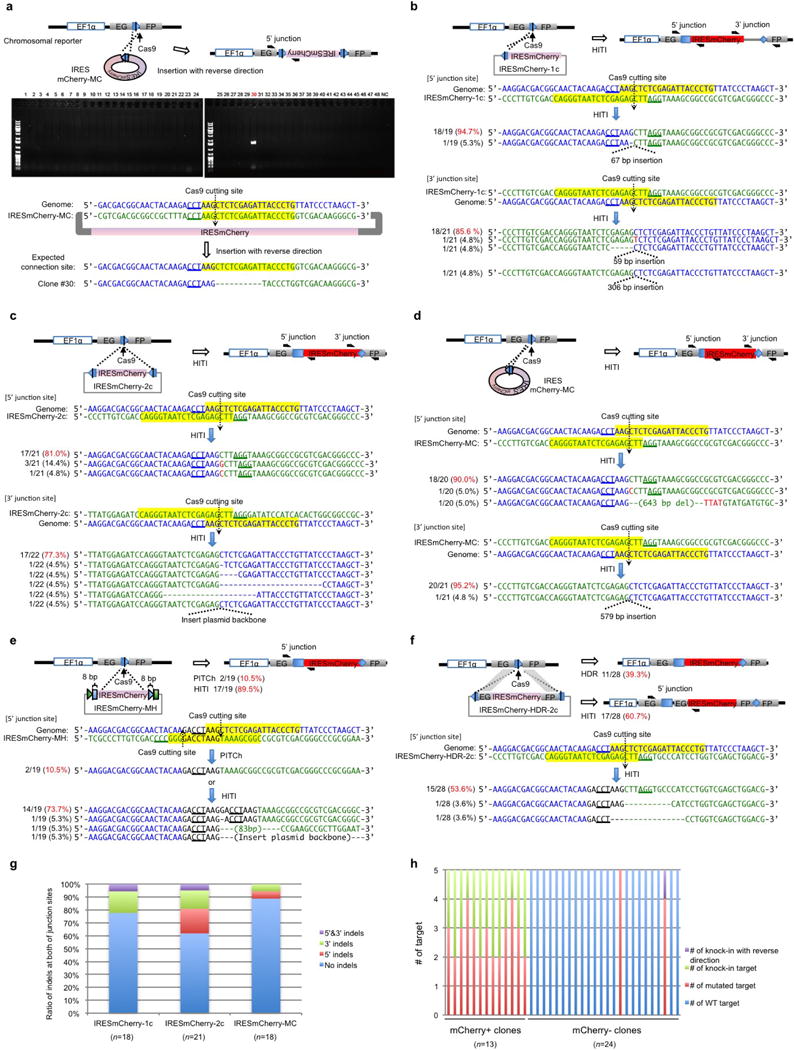 Extended Data Figure 2