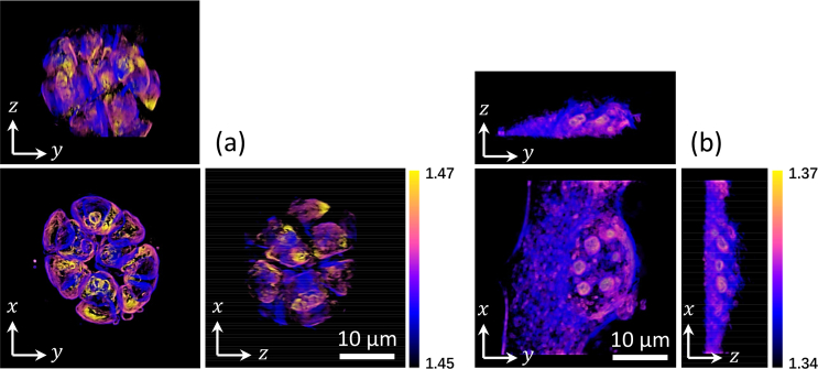 Fig. 10