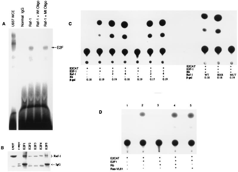 FIG. 5