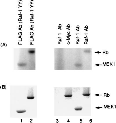 FIG. 9