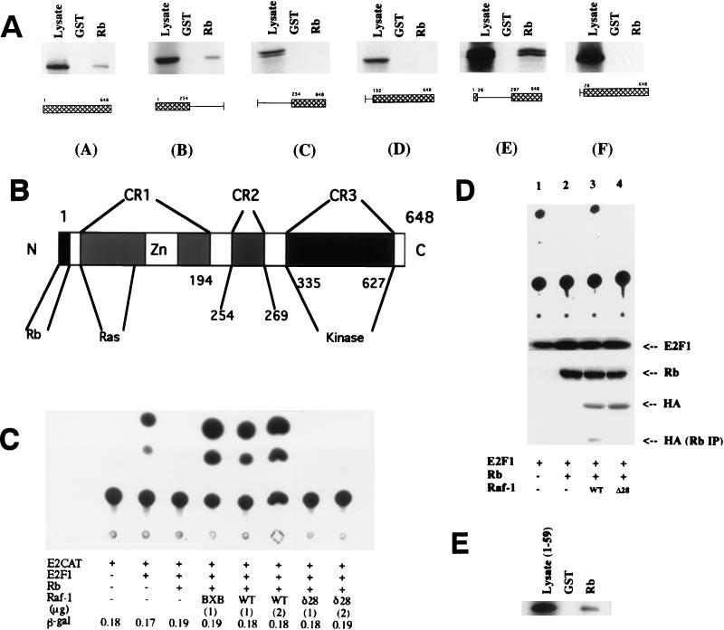 FIG. 6