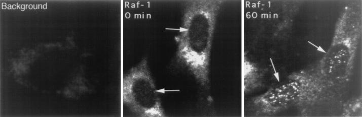 FIG. 7