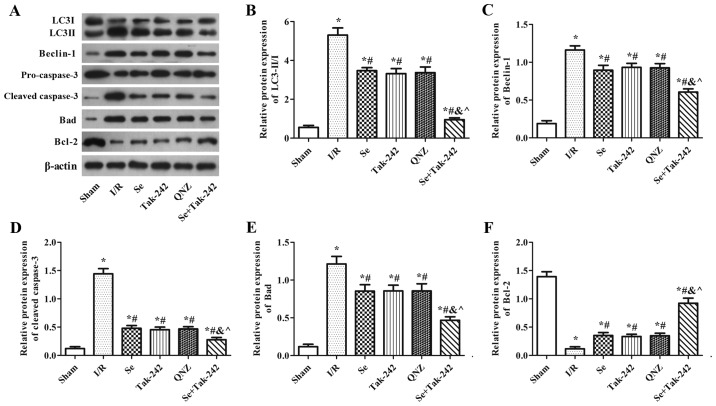 Figure 6.