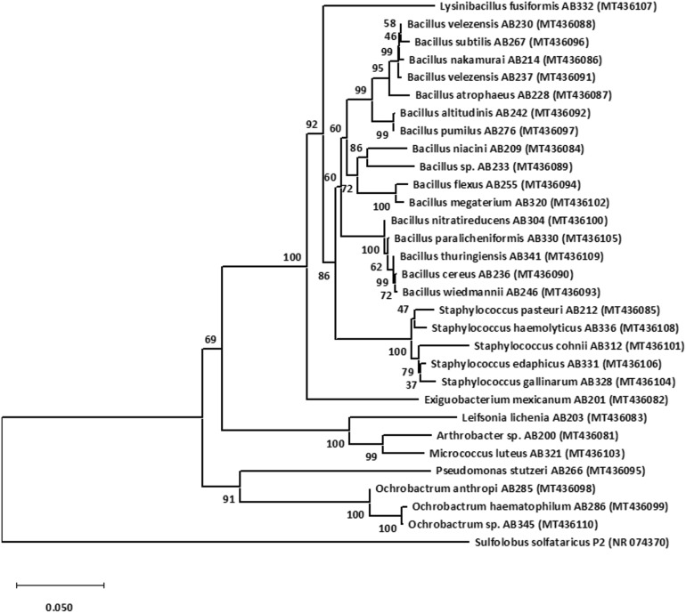 Figure 2