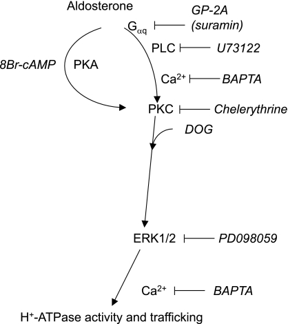 Fig. 8.